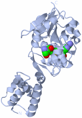 Image Biological Unit 1