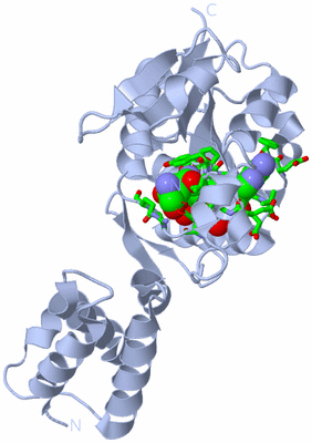 Image Biol. Unit 1 - sites