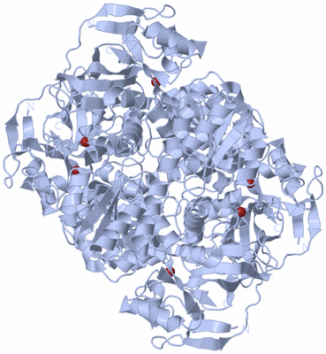 Image Biological Unit 1