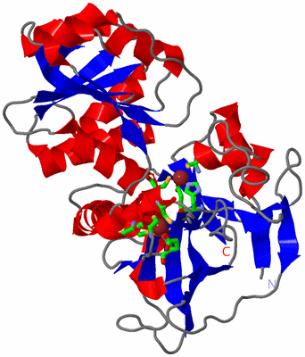 Image Asym. Unit - sites