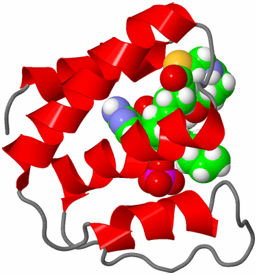 Image NMR Structure - model 1