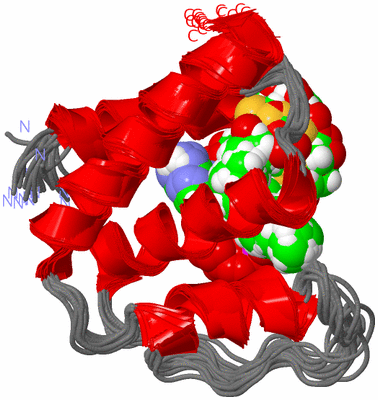 Image NMR Structure - all models