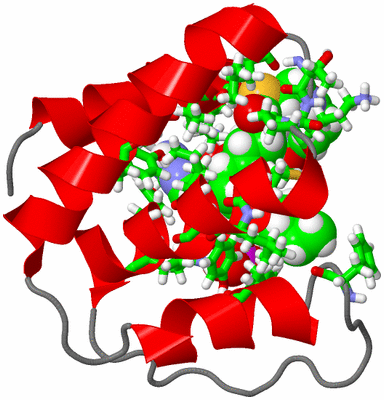 Image NMR Structure - model 1, sites