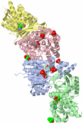 Image Biological Unit 1