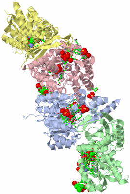 Image Biol. Unit 1 - sites