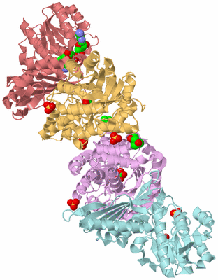 Image Biological Unit 2