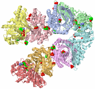 Image Biological Unit 3