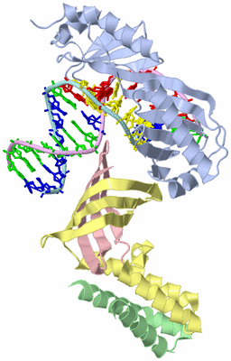 Image Asym./Biol. Unit