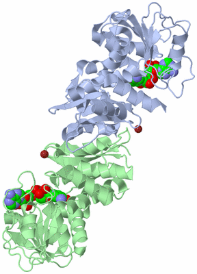 Image Asym./Biol. Unit