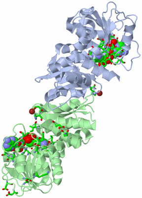 Image Asym./Biol. Unit - sites