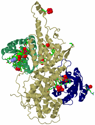 Image Biol. Unit 1 - sites