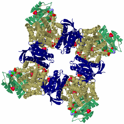 Image Biological Unit 2