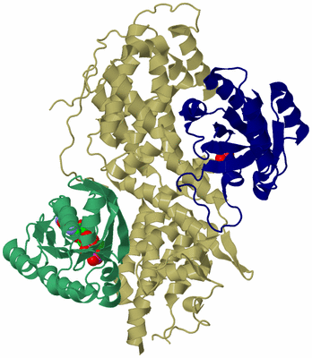 Image Asym./Biol. Unit