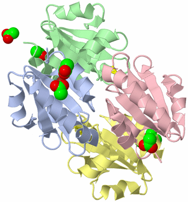 Image Biological Unit 1