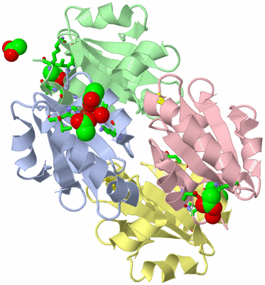 Image Biol. Unit 1 - sites