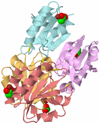 Image Biological Unit 2