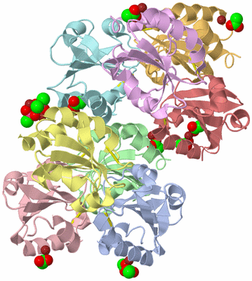 Image Biological Unit 3