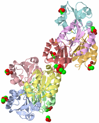 Image Biological Unit 4