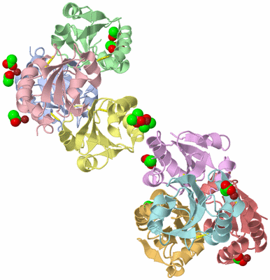 Image Biological Unit 5