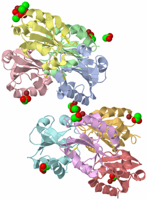 Image Biological Unit 6