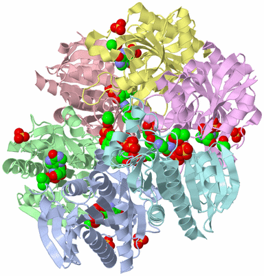 Image Asymmetric Unit