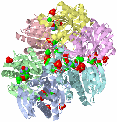 Image Biological Unit 1