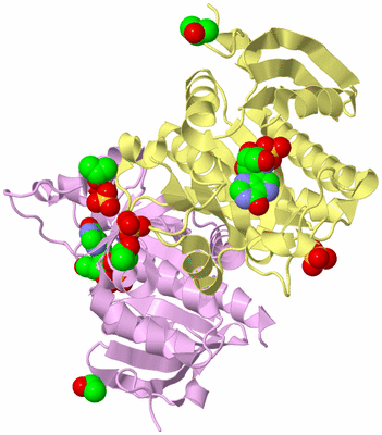 Image Biological Unit 2