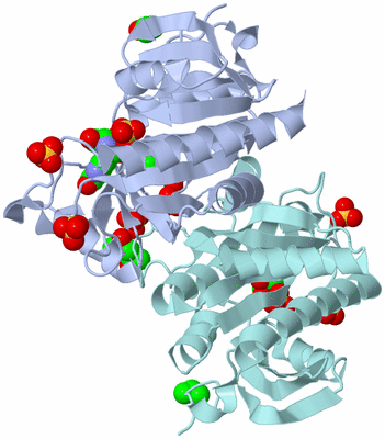Image Biological Unit 3