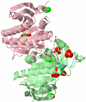 Image Biological Unit 4