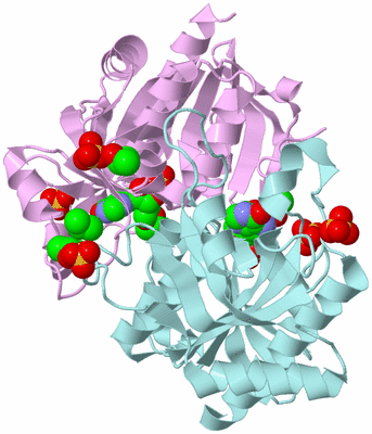 Image Biological Unit 5