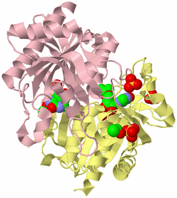 Image Biological Unit 6