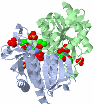 Image Biological Unit 7