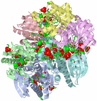 Image Asym. Unit - sites