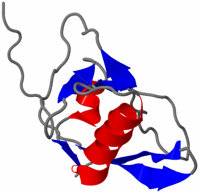 Image NMR Structure - model 1