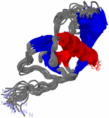 Image NMR Structure - all models
