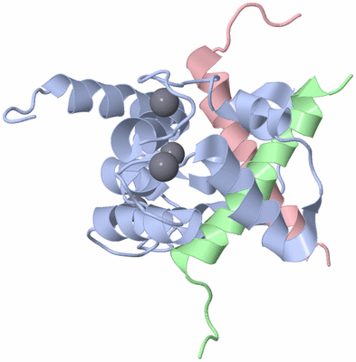 Image NMR Structure - model 1