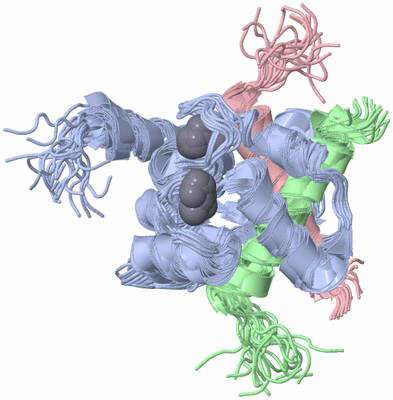 Image NMR Structure - all models