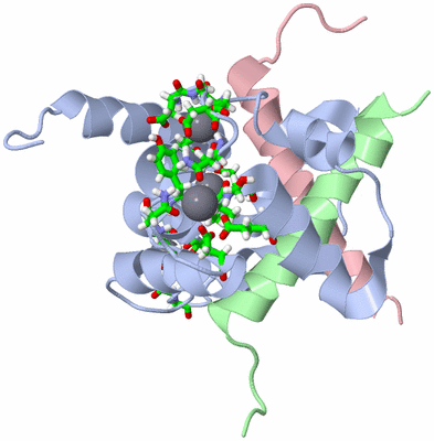 Image NMR Structure - model 1, sites