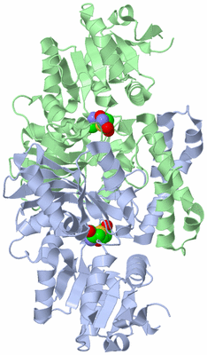 Image Asym./Biol. Unit