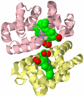 Image Biological Unit 2