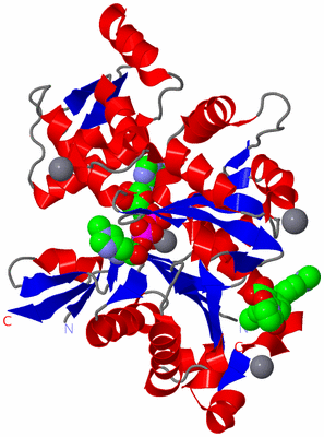 Image Asym./Biol. Unit