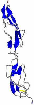 Image NMR Structure - model 1