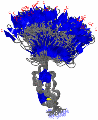 Image NMR Structure - all models