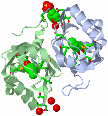 Image Asym./Biol. Unit - sites