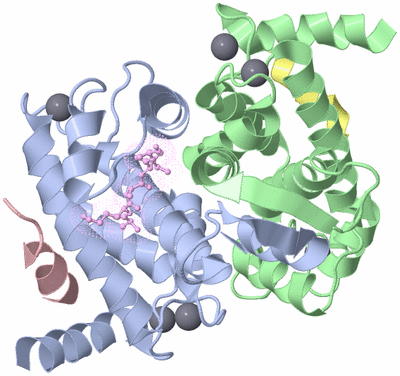 Image Asym./Biol. Unit