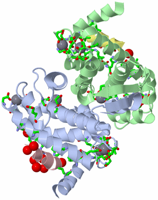 Image Asym./Biol. Unit - sites