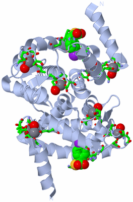 Image Biol. Unit 1 - sites