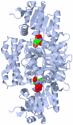 Image Biological Unit 2