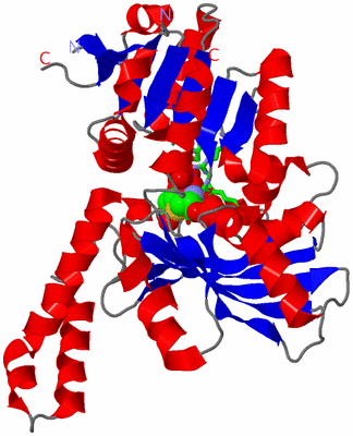 Image Asym. Unit - sites