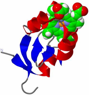 Image NMR Structure - model 1